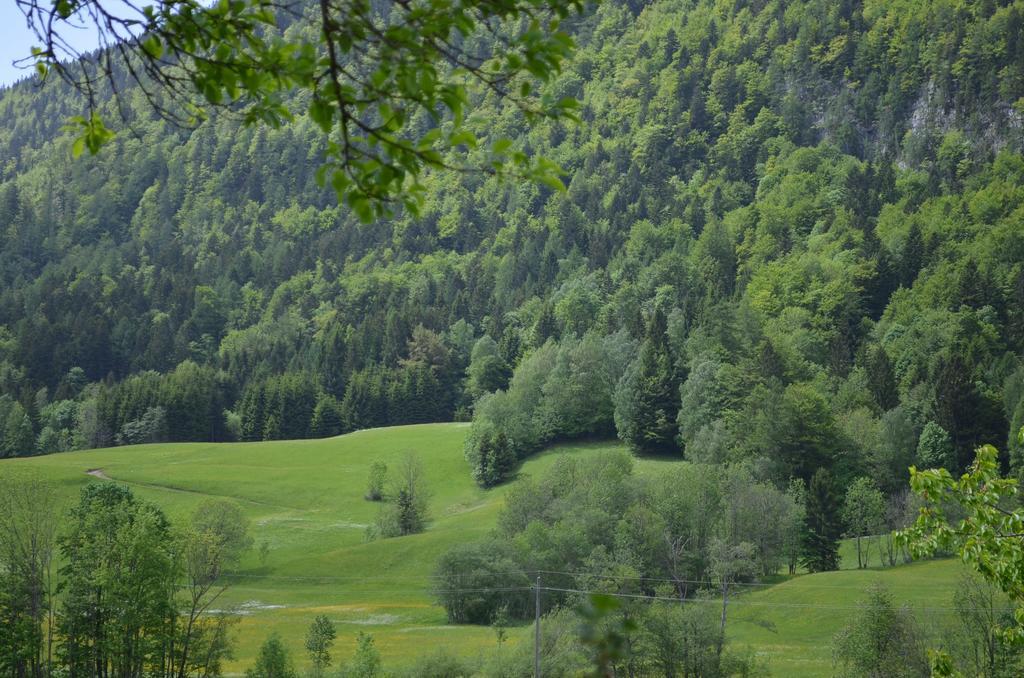 Farm stay Bauernhof Koenig *