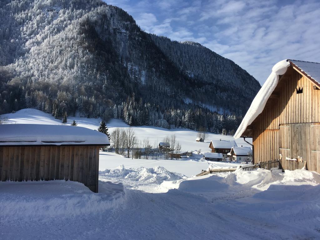Farm stay Bauernhof Koenig Anger (Liezen)